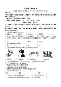 云南省昭通市昭阳区2022-2023学年九年级上学期期末化学试题(含答案)