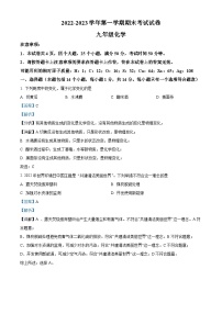 精品解析：河南省濮阳市2022-2023学年九年级上学期期末化学试题（解析版）