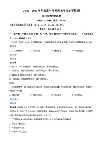 精品解析：山东省聊城市莘县2022-2023学年九年级上学期期末化学试题（解析版）