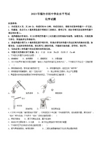 2023年山东省烟台市中考化学真题（无答案）