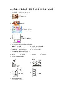 2023年黑龙江省佳木斯市抚远重点中学中考化学三模试卷-