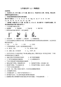 河南省濮阳市南乐县2022-2023学年九年级上学期12月月考化学试题(无答案)