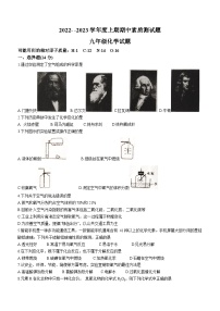 河南省驻马店市确山县2022-2023学年九年级上学期期中化学试题