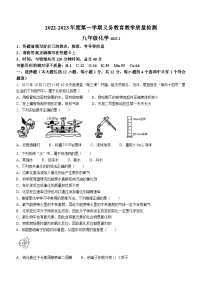 安徽省亳州市利辛县2022-2023学年九年级上学期期末化学试题（含答案）