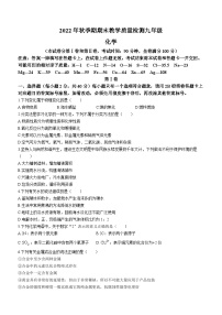 广西壮族自治区贵港市港南区2022-2023学年九年级上学期期末化学试题（含答案）