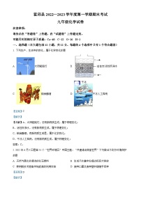 精品解析：安徽省六安市霍邱县2022-2023学年九年级上学期期末化学试题（解析版）