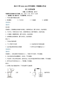 精品解析：海南省海口市2022-2023学年九年级下学期2月期末化学试题（解析版）