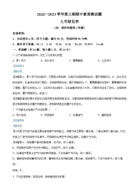 精品解析：河南省驻马店市泌阳县2022-2023学年九年级上学期期中化学试题（解析版）