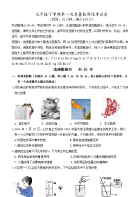 山东省济南市章丘区实验中学2020-2021学年九年级下学期第一次月考化学试题