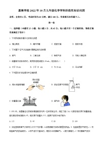 广东省惠州市惠城区惠南学校2022-2023学年九年级上学期期中化学试题