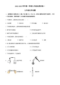 广东省惠州市惠阳区崇雅中学2022-2023学年九年级上学期期中化学试题