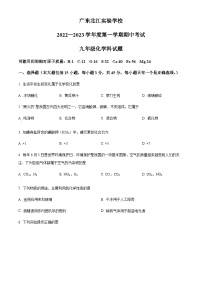 广东省韶关市武江区广东北江实验学校2022-2023学年九年级上学期期中化学试题