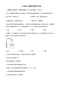 广东省江门市蓬江区荷塘雨露学校2022-2023学年九年级上学期期中化学试题