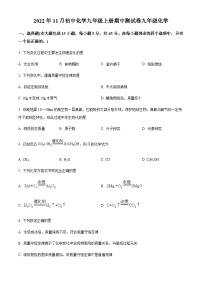 广东省佛山市高明区高明实验中学2022-2023学年九年级上学期期中化学试题