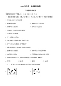 广东省广州市番禺区香江育才实验学校2022-2023学年九年级上学期期中化学试题