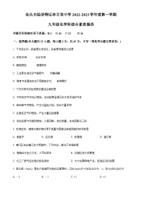 广东省汕头市经济特区林百欣中学2022-2023学年九年级上学期期中化学试题