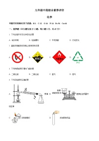 广东省佛山市南海外国语学校2022-2023学年九年级上学期期中化学试题