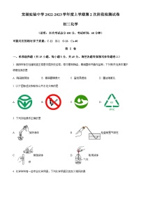 广东省汕头市龙湖区实验中学2022-2023学年九年级上学期期中化学试题