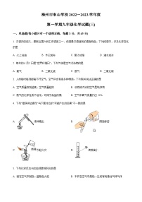 广东省梅州市梅雁东山学校2022-2023学年九年级上学期期中化学试题