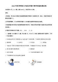 广东省惠州市博罗县2022-2023学年九年级上学期期中化学试题
