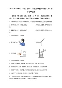 广东省广州市白云实验学校2022-2023学年九年级上学期期中化学试题