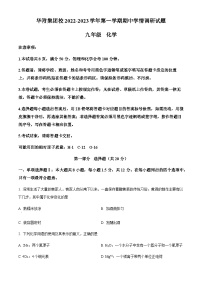 广东深圳市华师附中集团校2022-2023学年九年级上学期期中化学试题