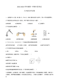 广东省东莞市虎门第四中学2022-2023学年九年级上学期11月期中化学试题