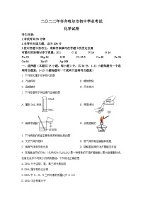 2023年黑龙江省齐齐哈尔市中考化学真题（含答案）