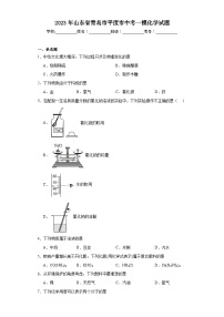 2023年山东省青岛市平度市中考一模化学试题（含解析）