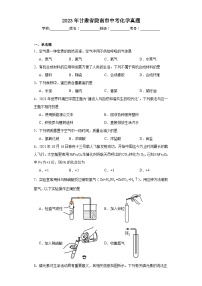 2023年甘肃省陇南市中考化学真题（含解析）