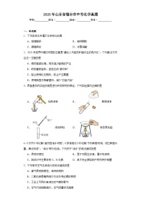 2023年山东省烟台市中考化学真题（含解析）