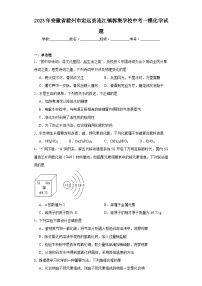 2023年安徽省滁州市定远县连江镇郭集学校中考一模化学试题（含解析）