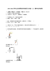 2015-2016学年山东省青岛市市南区九年级（上）期中化学试卷（解析版）