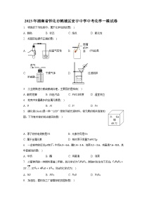 2023年湖南省怀化市鹤城区宏宇中学中考化学一模试卷