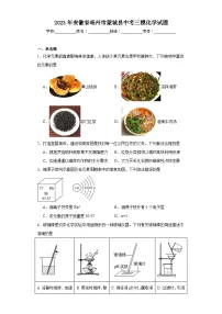 2023年安徽省亳州市蒙城县中考三模化学试题(含解析)