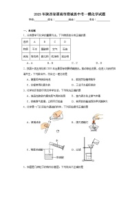 2023年陕西省渭南市澄城县中考一模化学试题（含解析）