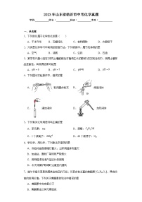 2023年山东省临沂市中考化学真题（含解析）