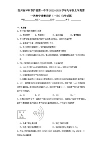 四川省泸州市泸县第一中学2022-2023学年九年级上学期第一次教学质量诊断（一诊）化学试题（含解析）