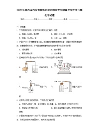 2023年陕西省西安市雁塔区陕西师范大学附属中学中考二模化学试题（含解析）