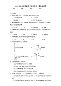 2023年山东省临沂市兰陵县中考一模化学试题（含解析）