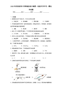 2020年河南省周口市郸城县南丰镇第一初级中学中考一模化学试题（含解析）