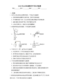 2023年山东省威海市中考化学真题(含解析)
