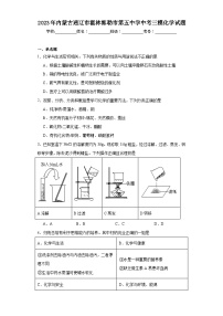 2023年内蒙古通辽市霍林郭勒市第五中学中考三模化学试题（含解析）