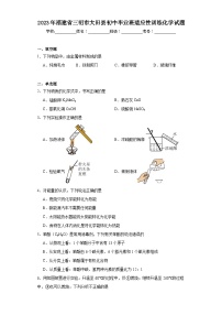 2023年福建省三明市大田县初中毕业班适应性训练化学试题（含解析）