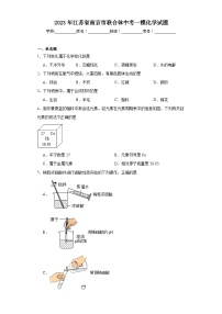 2023年江苏省南京市联合体中考一模化学试题（含解析）