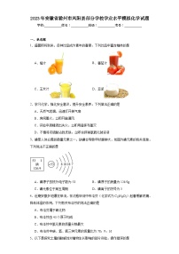 2023年安徽省滁州市凤阳县部分学校学业水平模拟化学试题（含解析）