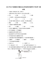 2023年辽宁省盘锦市兴隆台区辽河油田多校联考中考化学二模试卷（含解析）