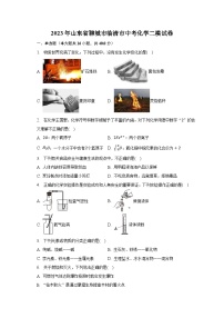 2023年山东省聊城市临清市中考化学二模试卷（含解析）