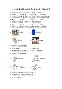 2023年河南省周口市淮阳重点中学中考化学模拟试卷（含解析）