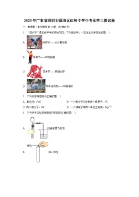 2023年广东省深圳市福田区红岭中学中考化学三模试卷（含解析）